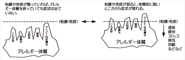 アトピー図2