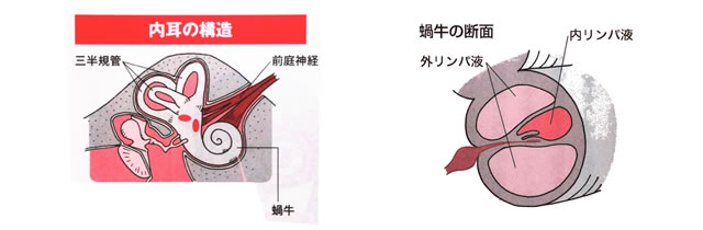 アトピー図2