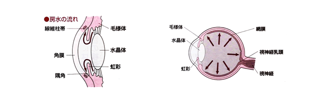 アトピー図2